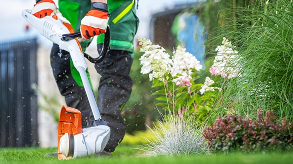 Aménagement de jardin à Douai