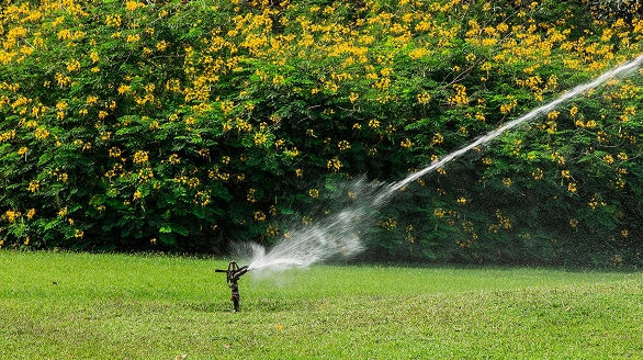 Blog conseil paysagiste à Douai arrosage
