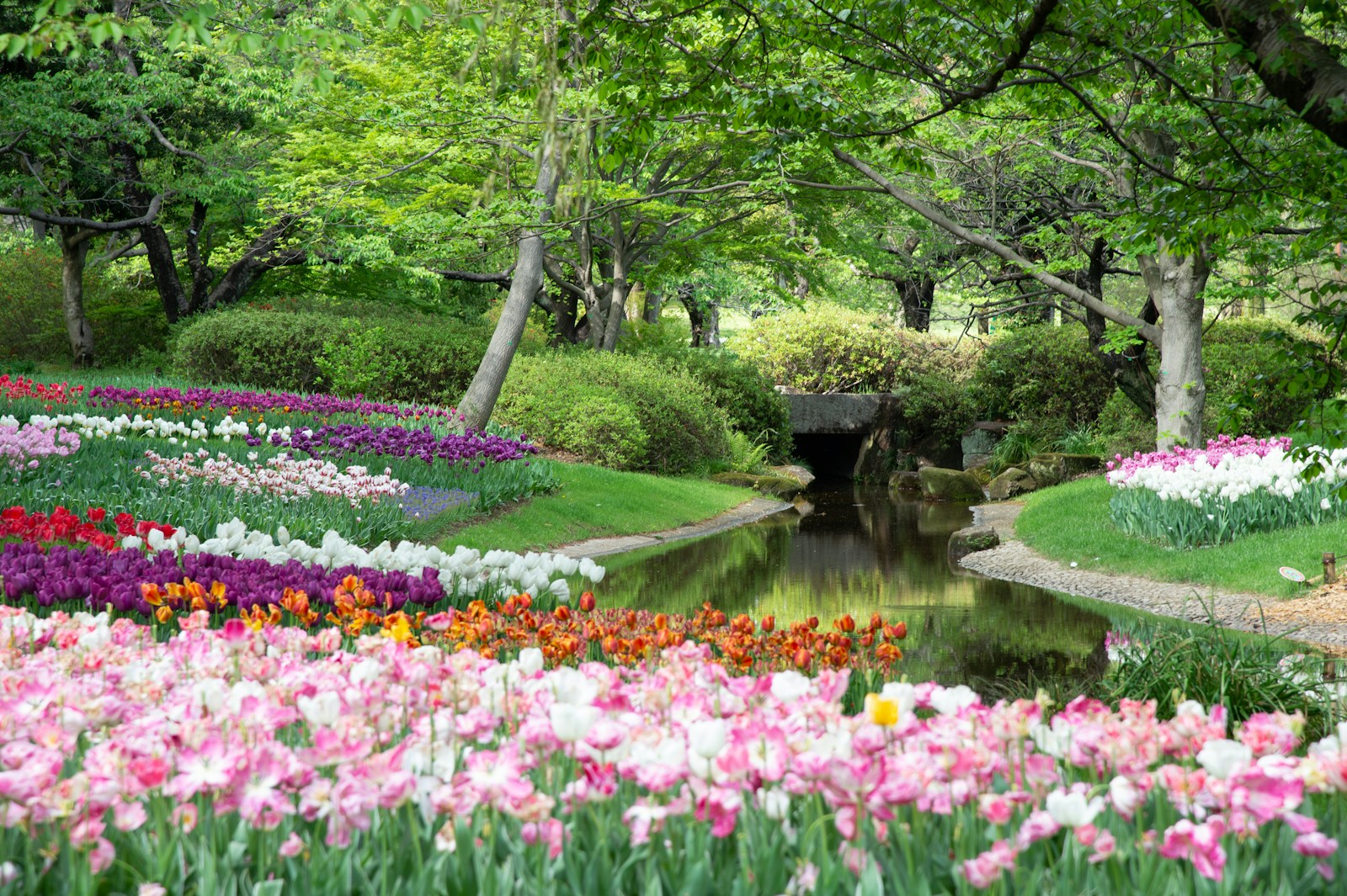 Jardinier paysagiste à Somain