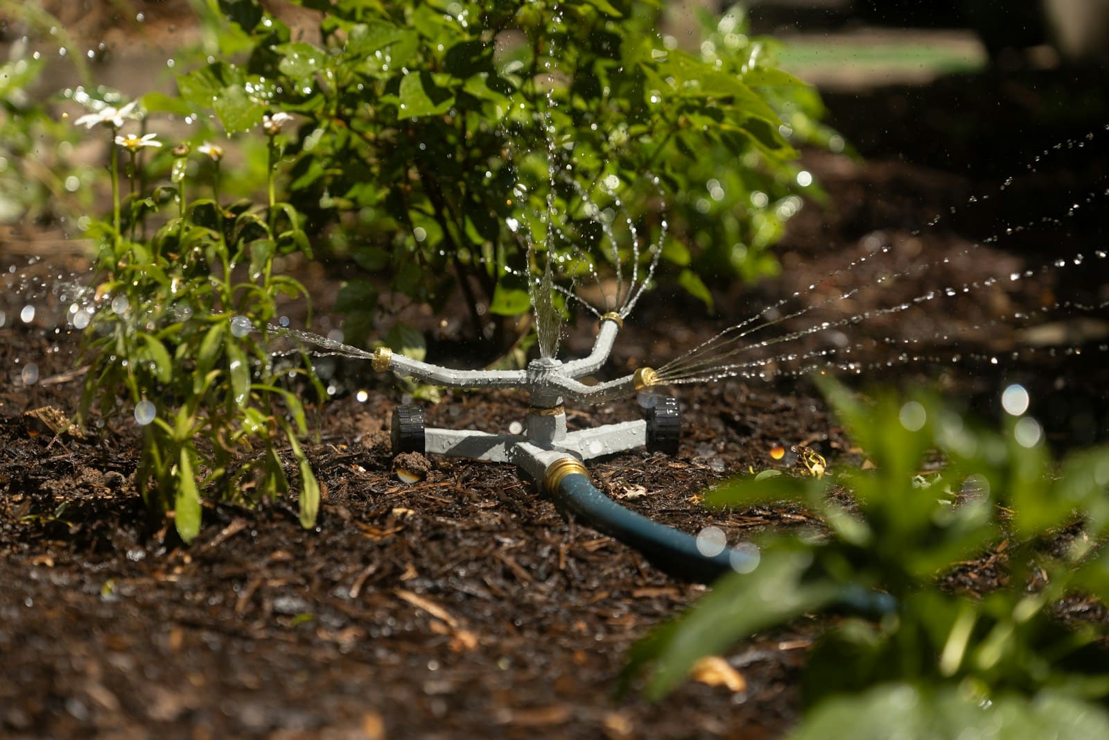 Jardinier pro à Waziers