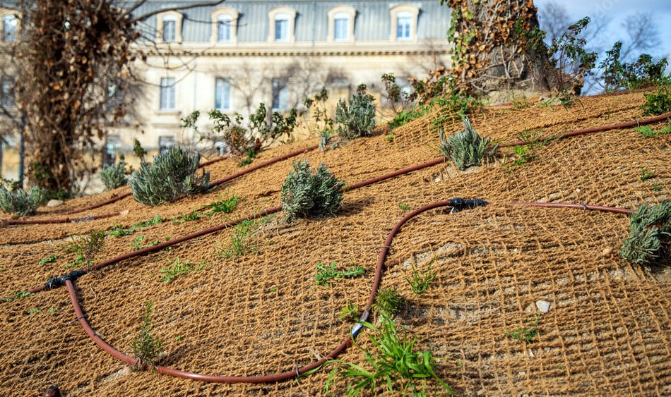 Arrosage performant à Douai avec goutte à goutte