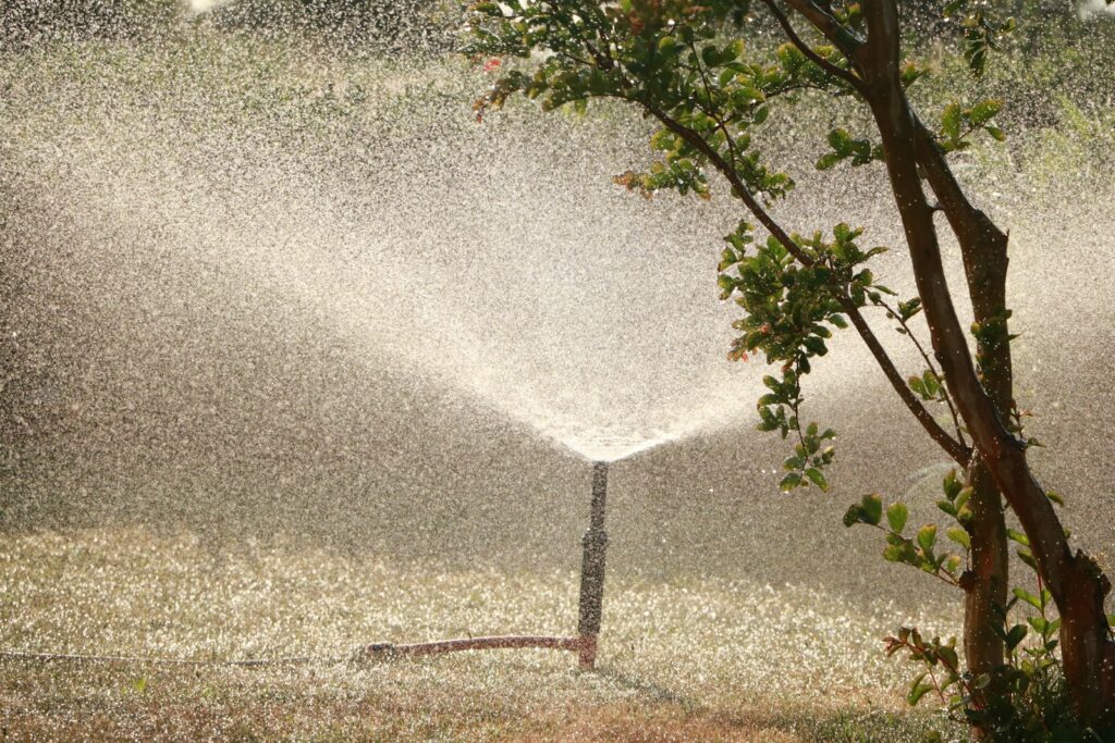 paysagiste et jardinier à Douai