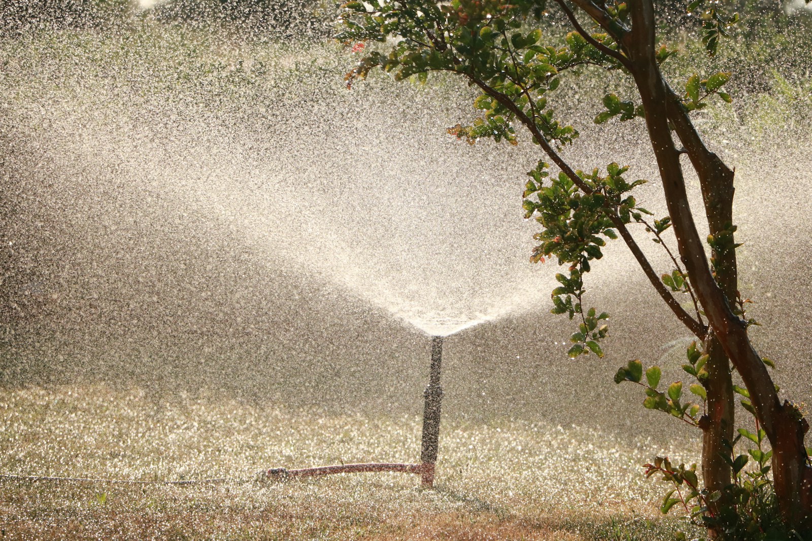 Jardin aménagé sur mesure à Douai