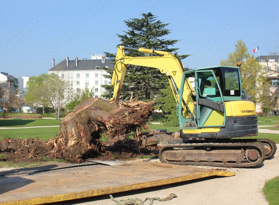 Dessouchage après élagage et abattage à Douai