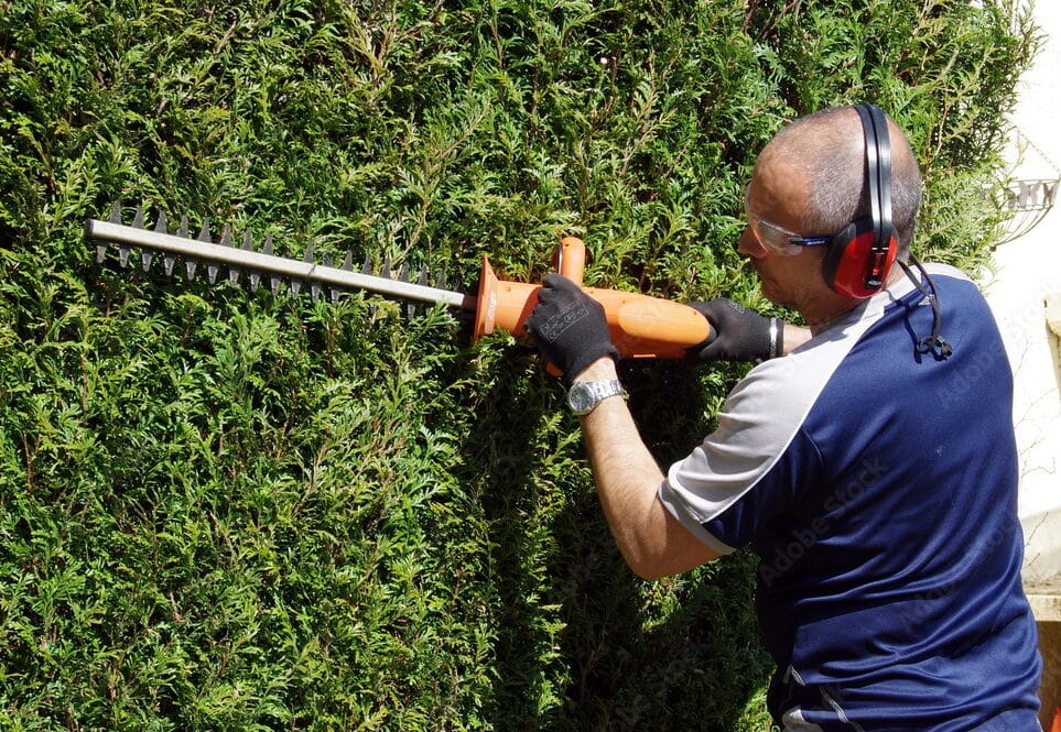 Taille de haies et entretien de jardin à Douai