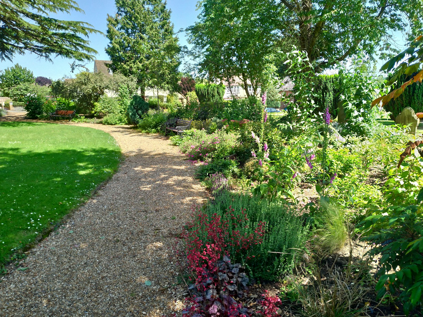 Entretien de jardin par un paysagiste à Douai
