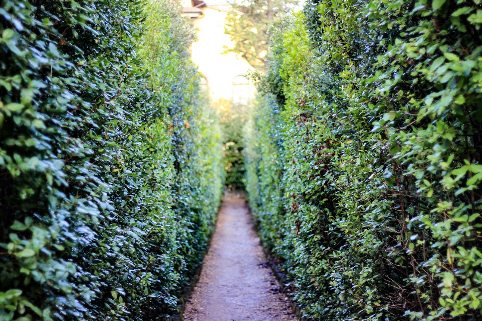 Aménagement de jardin par jardinier paysagiste à Cuincy