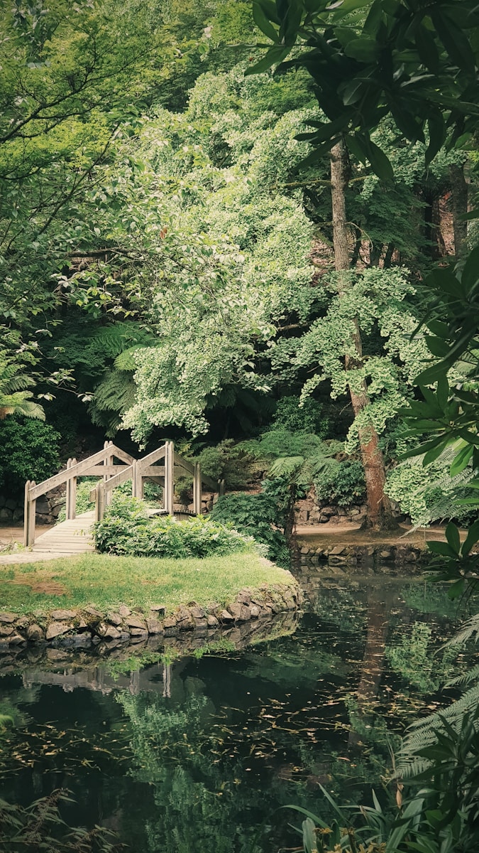 Aménagement de jardin par un paysagiste à Douai