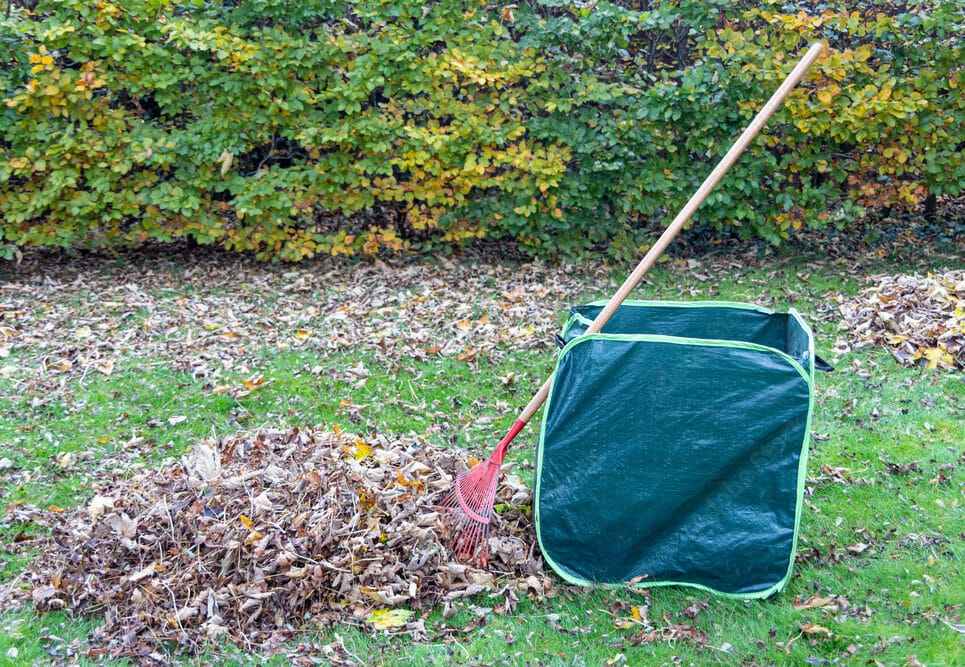 Entretien de jardin par votre paysagiste expert à Douai
