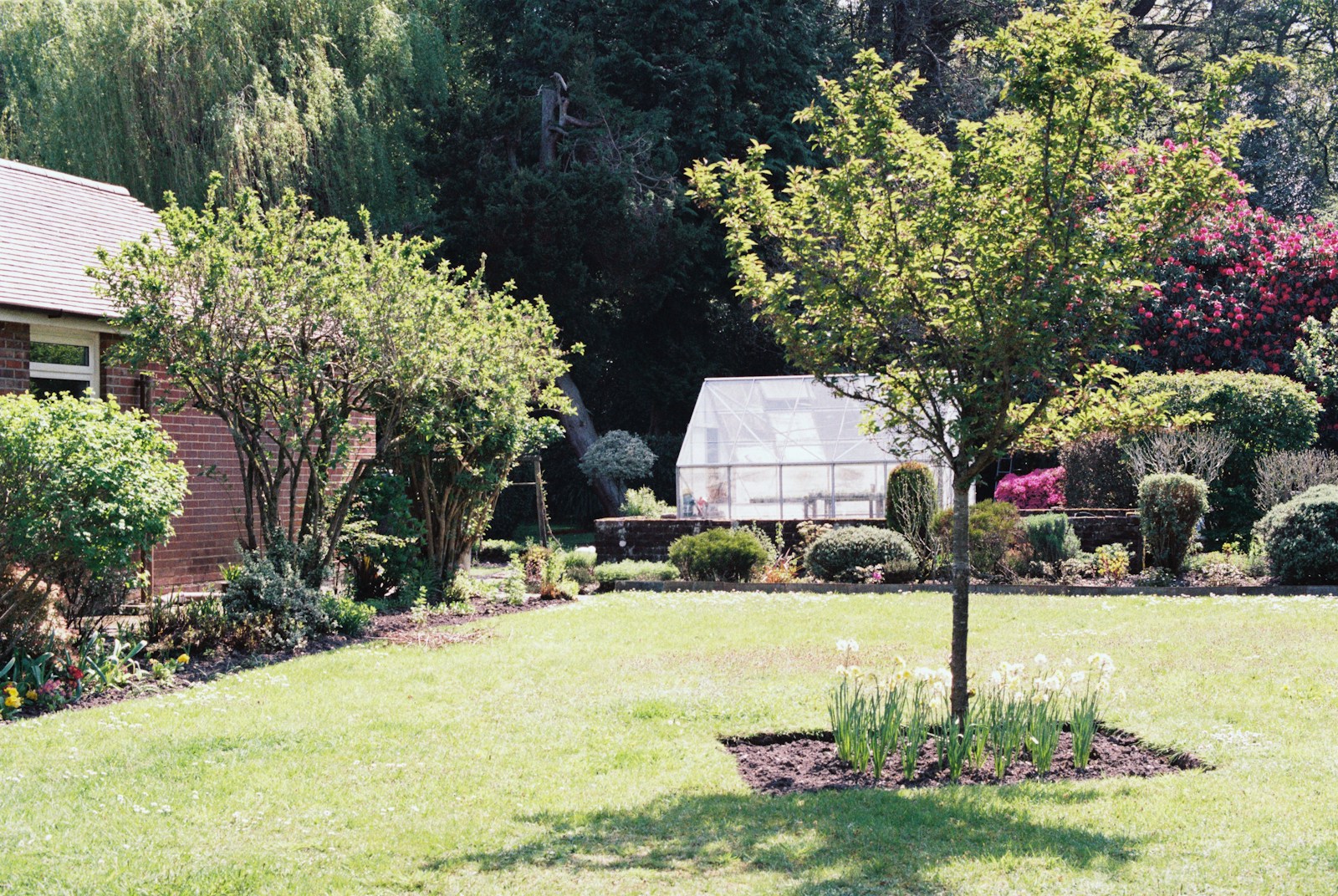 Aménagement de jardin à Douai