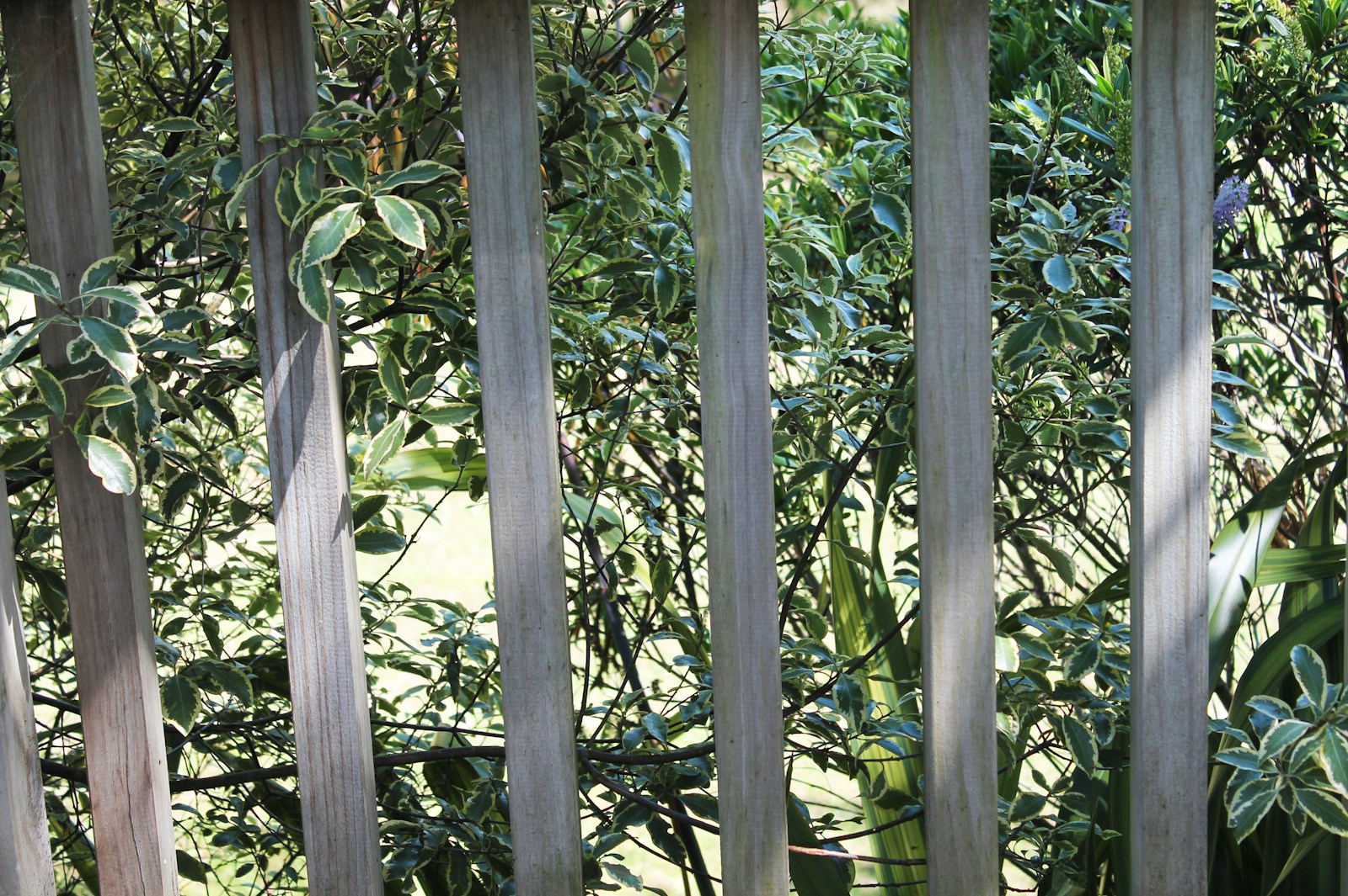 Jardinier paysagiste à Dechy
