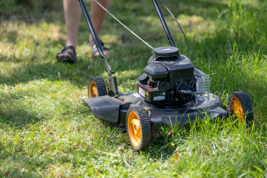 Entretien de jardin à Douai par un paysagiste