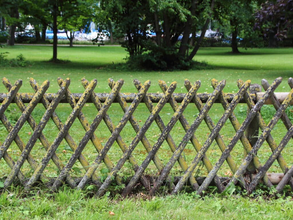 Paysagiste création jardin Dechy