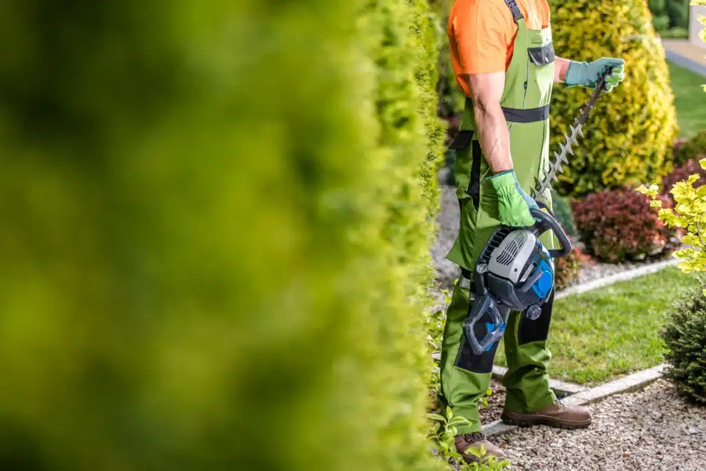 entretien de jardin Flers-en-Escrebieux