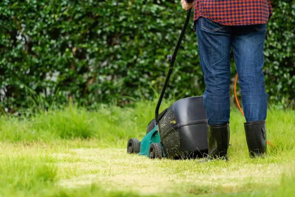 entretien de jardin Somain
